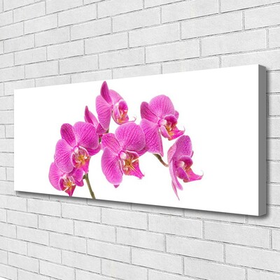 Photo sur toile Fleurs floral rose