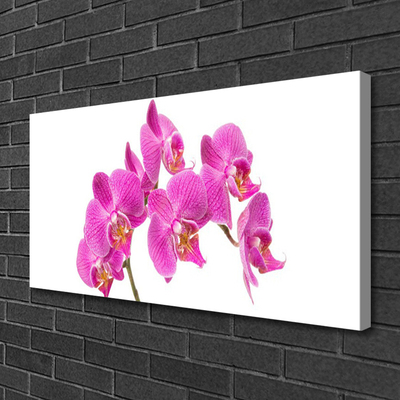 Photo sur toile Fleurs floral rose