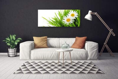 Photo sur toile Marguerite herbe floral vert jaune blanc