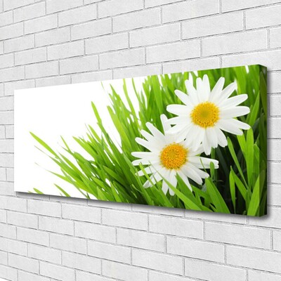 Photo sur toile Marguerite herbe floral vert jaune blanc