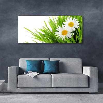 Photo sur toile Marguerite herbe floral vert jaune blanc