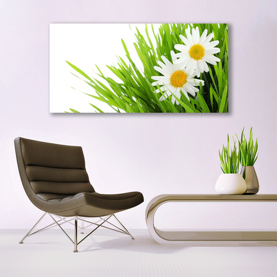 Photo sur toile Marguerite herbe floral vert jaune blanc