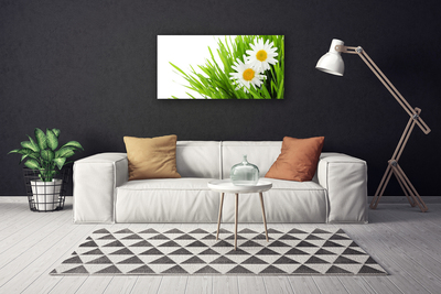 Photo sur toile Marguerite herbe floral vert jaune blanc