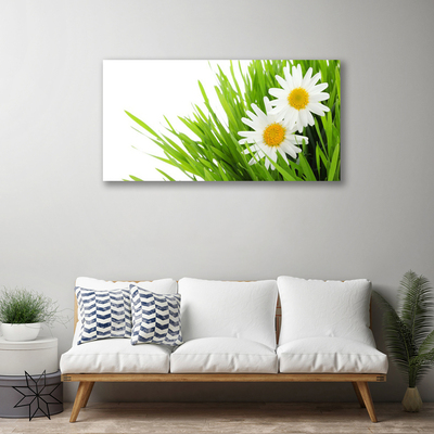 Photo sur toile Marguerite herbe floral vert jaune blanc