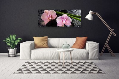 Photo sur toile Fleurs souches floral vert rose