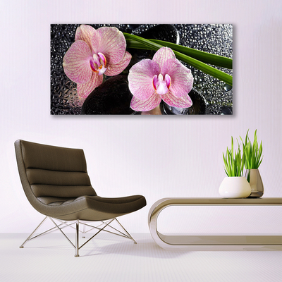 Photo sur toile Fleurs souches floral vert rose