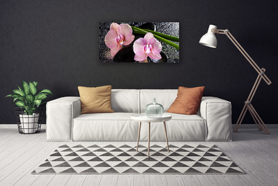 Photo sur toile Fleurs souches floral vert rose