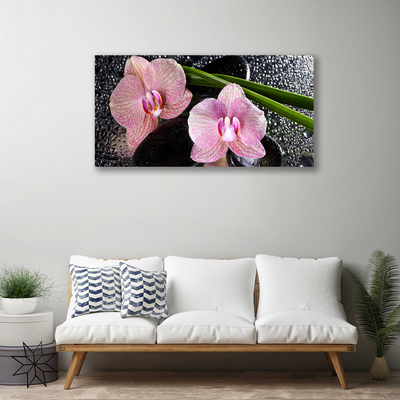 Photo sur toile Fleurs souches floral vert rose