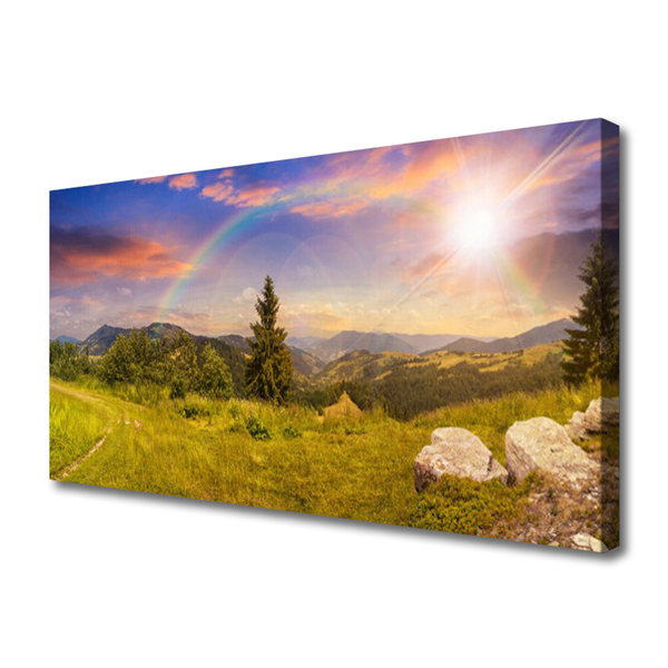 Photo sur toile Pierres prairie soleil montagne nature jaune vert brun