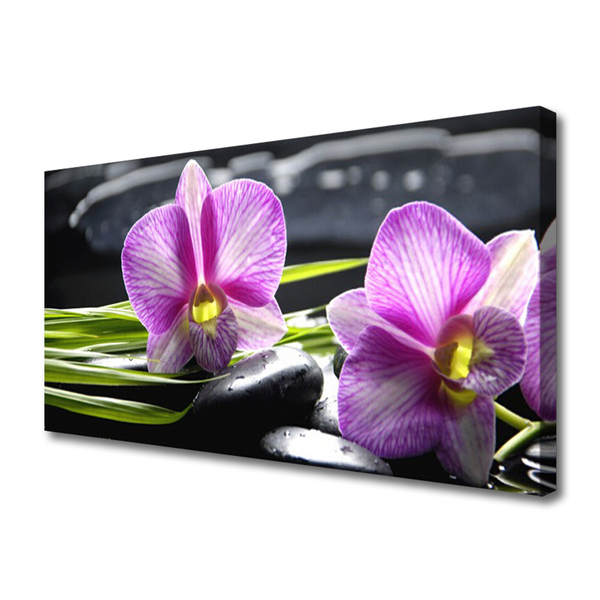 Photo sur toile Pierres fleurs floral rose noir