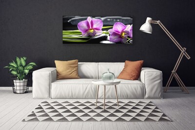 Photo sur toile Pierres fleurs floral rose noir