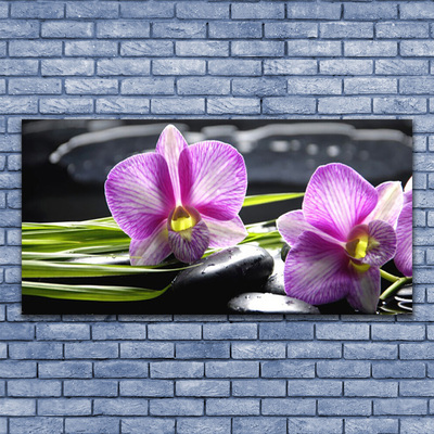 Photo sur toile Pierres fleurs floral rose noir