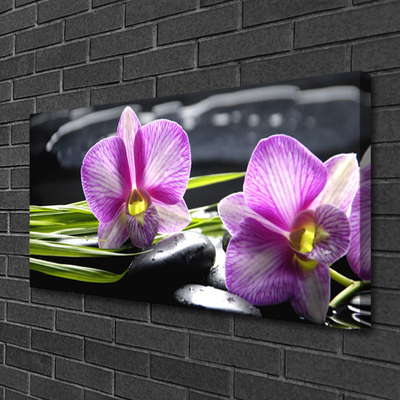 Photo sur toile Pierres fleurs floral rose noir