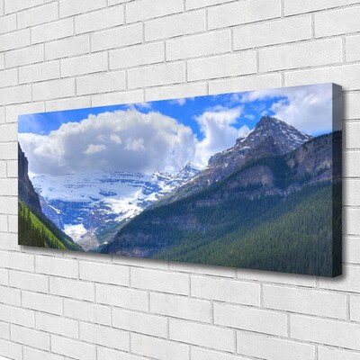 Photo sur toile Montagnes paysage gris bleu blanc vert