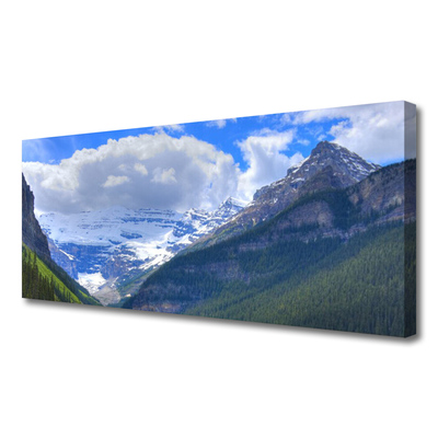 Photo sur toile Montagnes paysage gris bleu blanc vert