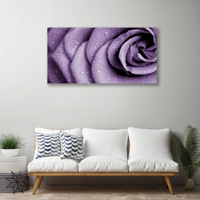 Photo sur toile Rose floral violet
