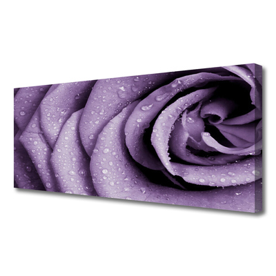 Photo sur toile Rose floral violet