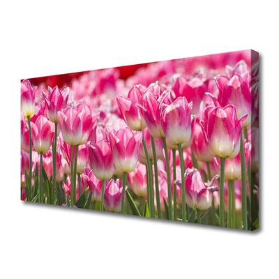 Photo sur toile Tulipes floral vert blanc rouge