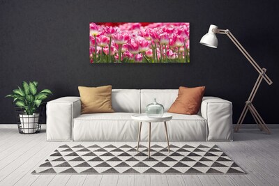 Photo sur toile Tulipes floral vert blanc rouge