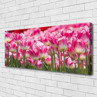 Photo sur toile Tulipes floral vert blanc rouge