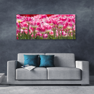 Photo sur toile Tulipes floral vert blanc rouge