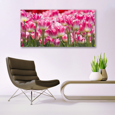 Photo sur toile Tulipes floral vert blanc rouge