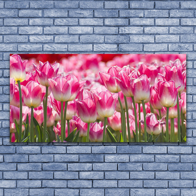 Photo sur toile Tulipes floral vert blanc rouge