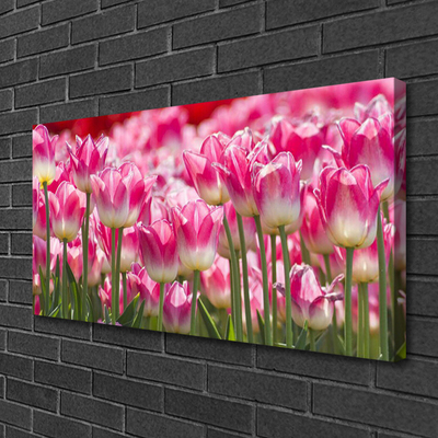 Photo sur toile Tulipes floral vert blanc rouge