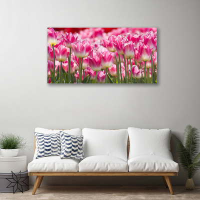 Photo sur toile Tulipes floral vert blanc rouge