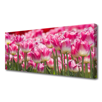 Photo sur toile Tulipes floral vert blanc rouge