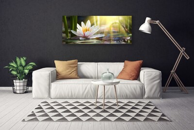 Photo sur toile Eau fleur floral blanc vert