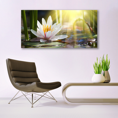 Photo sur toile Eau fleur floral blanc vert