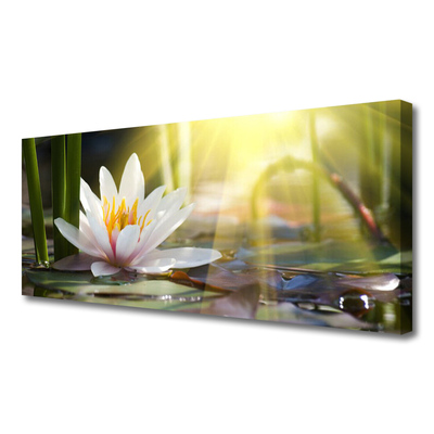 Photo sur toile Eau fleur floral blanc vert