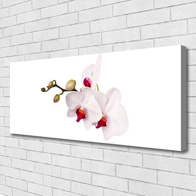 Photo sur toile Fleurs floral rose blanc