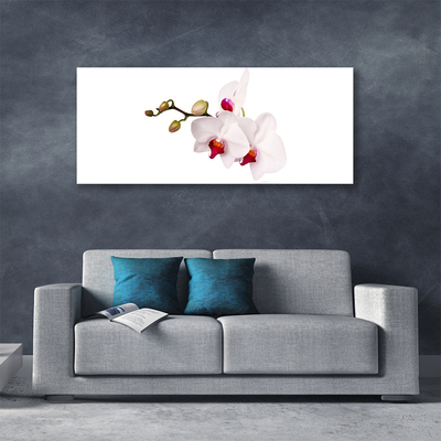 Photo sur toile Fleurs floral rose blanc