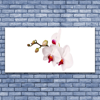 Photo sur toile Fleurs floral rose blanc