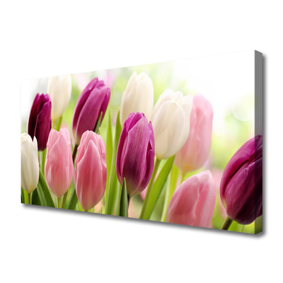 Photo sur toile Tulipes floral blanc rouge rose