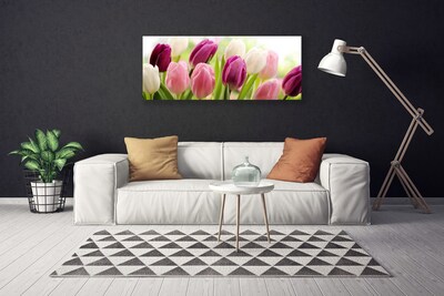 Photo sur toile Tulipes floral blanc rouge rose