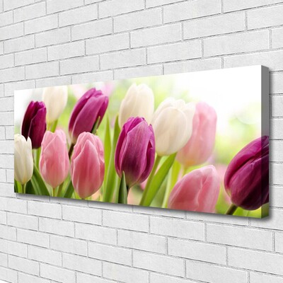 Photo sur toile Tulipes floral blanc rouge rose
