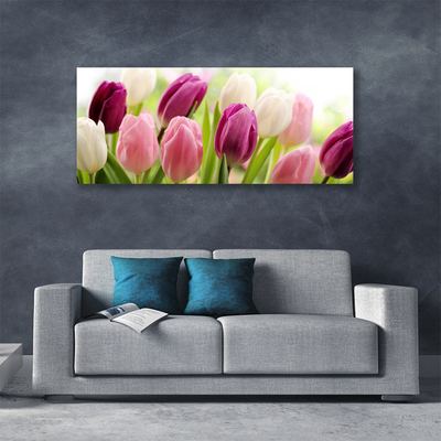 Photo sur toile Tulipes floral blanc rouge rose