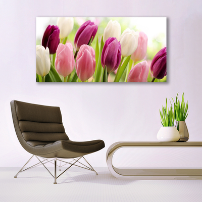 Photo sur toile Tulipes floral blanc rouge rose