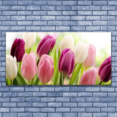 Photo sur toile Tulipes floral blanc rouge rose