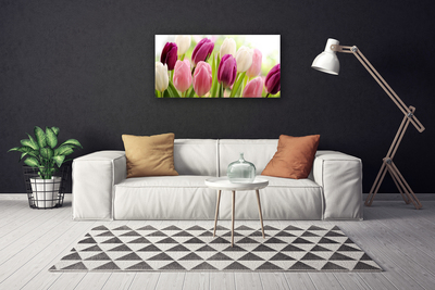 Photo sur toile Tulipes floral blanc rouge rose