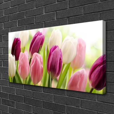 Photo sur toile Tulipes floral blanc rouge rose