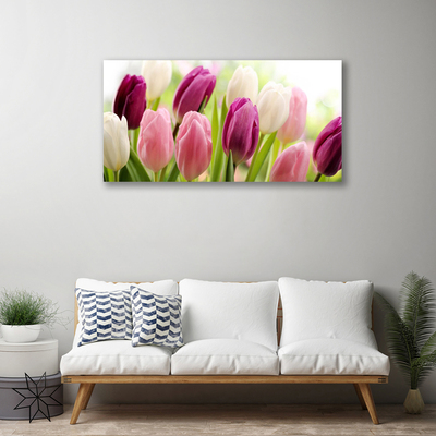 Photo sur toile Tulipes floral blanc rouge rose