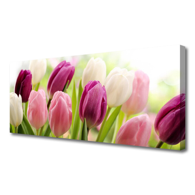 Photo sur toile Tulipes floral blanc rouge rose