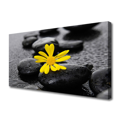 Photo sur toile Pierres fleurs art jaune noir