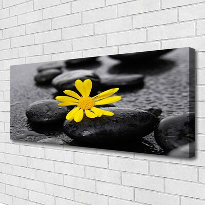 Photo sur toile Pierres fleurs art jaune noir