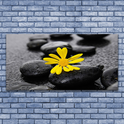 Photo sur toile Pierres fleurs art jaune noir