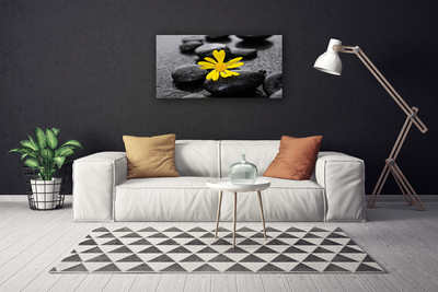 Photo sur toile Pierres fleurs art jaune noir